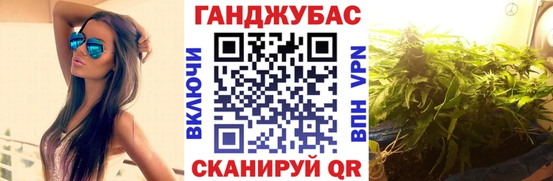 Канабис план  купить   Павловск 